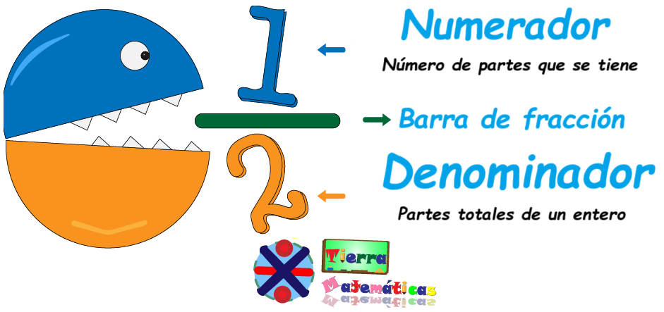 Partes de la Fracción